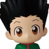 Hunter x Hunter Suwarase-tai: Gon