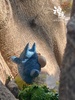 photo of Meet Series Running My Neighbor Totoro Ornament