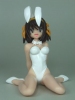 photo of HGIF The Melancholy of Haruhi Suzumiya #2: Haruhi Suzumiya White Bunny Ver