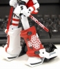 photo of figma Fireball Drossel Winter Package