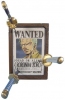 photo of Wanted Mugiwara Pirates Collection: Roronoa Zoro