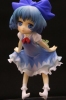 photo of Cirno