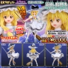 photo of Kirisame Marisa Hisoutensoku Gray Color ver.