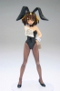 photo of Haruhi Suzumiya Bunny Girl Ver