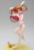 photo of Beach Queens Takamachi Nanoha