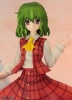 photo of Flower Master of the Four Seasons Yuuka Kazami