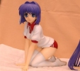 photo of Fujibayashi Ryou Gym Uniform ver.
