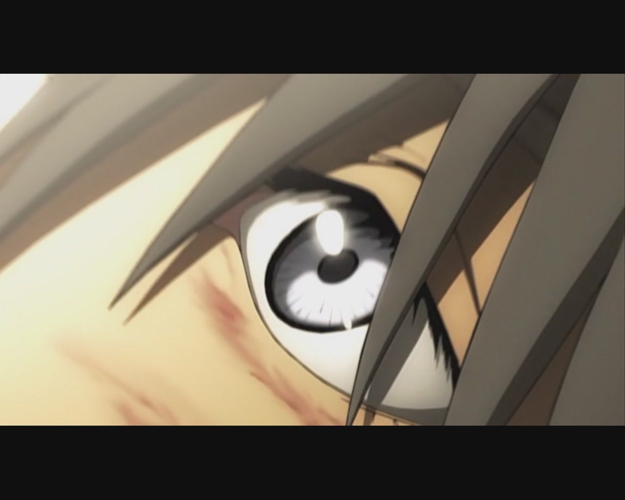 Pale Cocoon My Anime Shelf