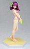 photo of Beach Queens Yuri Dengeki Special Ver.