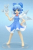 photo of Cirno