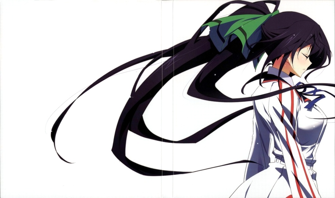 Houki Shinonono (IS: Infinite Stratos) - Clubs 