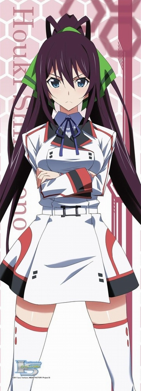 IS: Infinite Stratos Encore - Koi ni Kogareru Rokujuusou - Pictures 