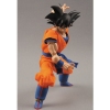 photo of Real Action Heroes 375 Son Goku