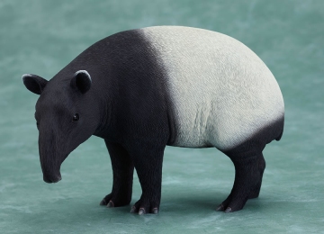 main photo of Dokidoki Animal Series : Malayan Tapir