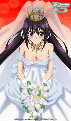 IS: Infinite Stratos 2 - Infinite Wedding - All About Anime