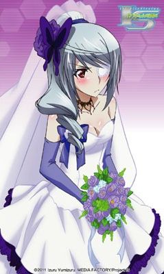 IS: Infinite Stratos 2 - Infinite Wedding 