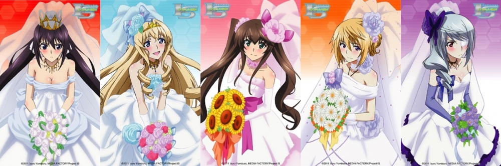 IS: Infinite Stratos 2 - Infinite Wedding