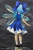 photo of Cirno Ice Fairy of the Lake Ver.