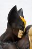 photo of Fine Art Bust Wolverine Brown Ver.