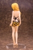 photo of Charlotte Dunois Swimsuit Ver.