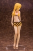 photo of Charlotte Dunois Swimsuit Ver.