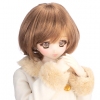 photo of Dollfie Dream Sister: Mariko-sensei