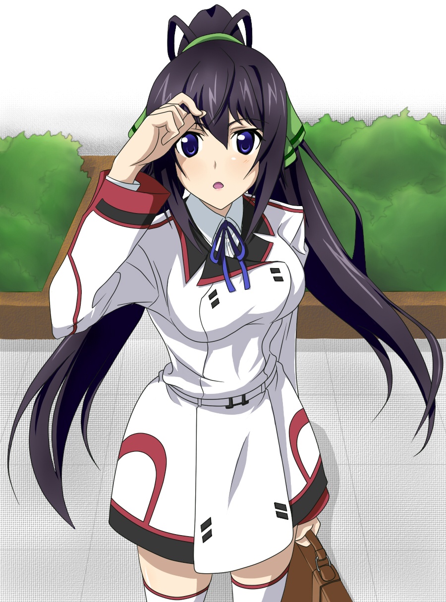 IS: Infinite Stratos Encore - Koi ni Kogareru Rokujuusou 