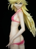 photo of Panty Anarchy Swimsuit Ver.