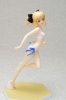 photo of Beach Queens Saber Lily