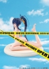 photo of Himejima Akeno Swimsuit Ver.