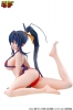 photo of Himejima Akeno Swimsuit Ver.