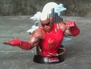photo of Tekken 5 Magstage Bust: Raven