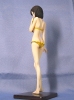 photo of Anegasaki Nene Swimsuit Ver.