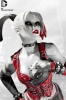 photo of Harley Quinn