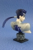 photo of Fate Bust Collection Lancer