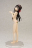 photo of Dream Tech Akemi Homura Swimsuit ver.