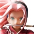 Door Painting Collection Figure Sakura Haruno