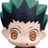 Chara Fortune Plus Series: Hunter x Hunter - Can You Become a Hunter? Fortune★: Gon Freecss