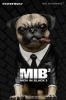 photo of Real Masterpiece Agent J & Frank the Pug