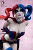 photo of Cover Girls of the DC Universe Harley Quinn