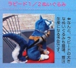 photo of Repede