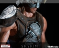 photo of Dragonborn