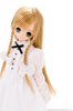 photo of PureNeemo: Sera