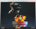 photo of Shadow the Hedgehog Exclusive ver.