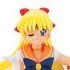 Cutie Model Sailor Venus