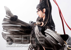 photo of Gathering Bayonetta