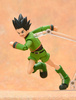 photo of figma Gon Freecss