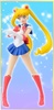 photo of 20th Anniversary HGIF Sailor Moon Collection: Sailor Moon