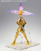 photo of Saint Cloth Myth EX Special Display Stand