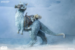 photo of Sixth Scale Figure Creatures Of Star Wars Tauntaun